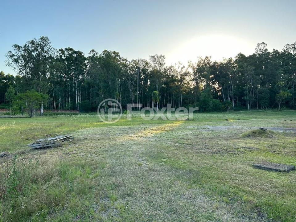 Depósito-Galpão-Armazém à venda, 18000m² - Foto 5