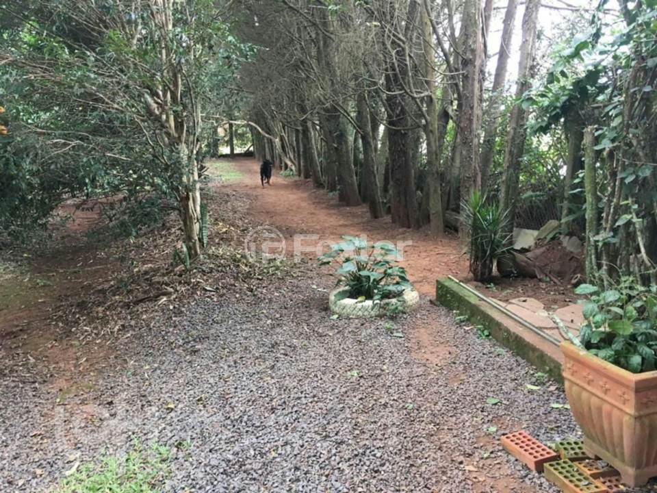 Casa à venda com 3 quartos, 1000m² - Foto 5
