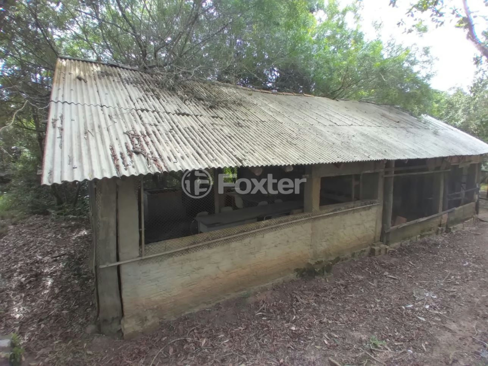 Sítio à venda com 3 quartos, 9000m² - Foto 7