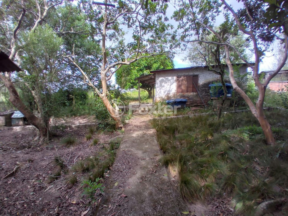 Sítio à venda com 3 quartos, 9000m² - Foto 4