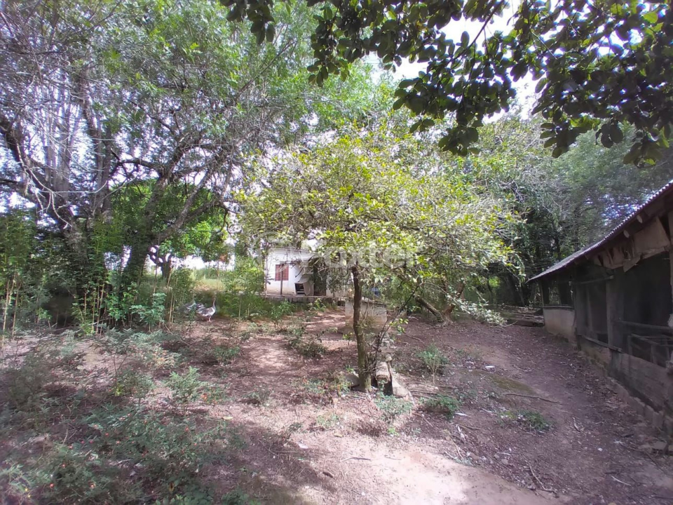 Sítio à venda com 3 quartos, 9000m² - Foto 3