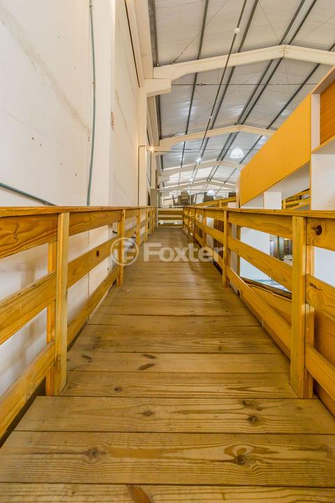 Depósito-Galpão-Armazém à venda, 750m² - Foto 11