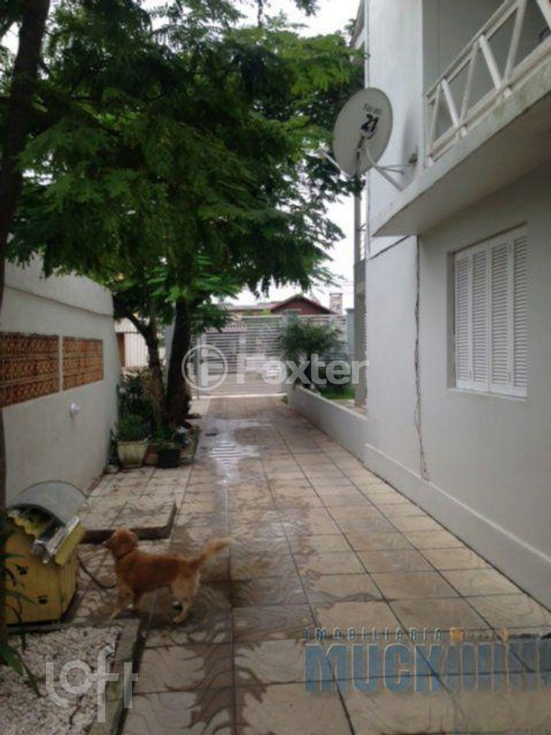 Casa à venda com 4 quartos, 198m² - Foto 15