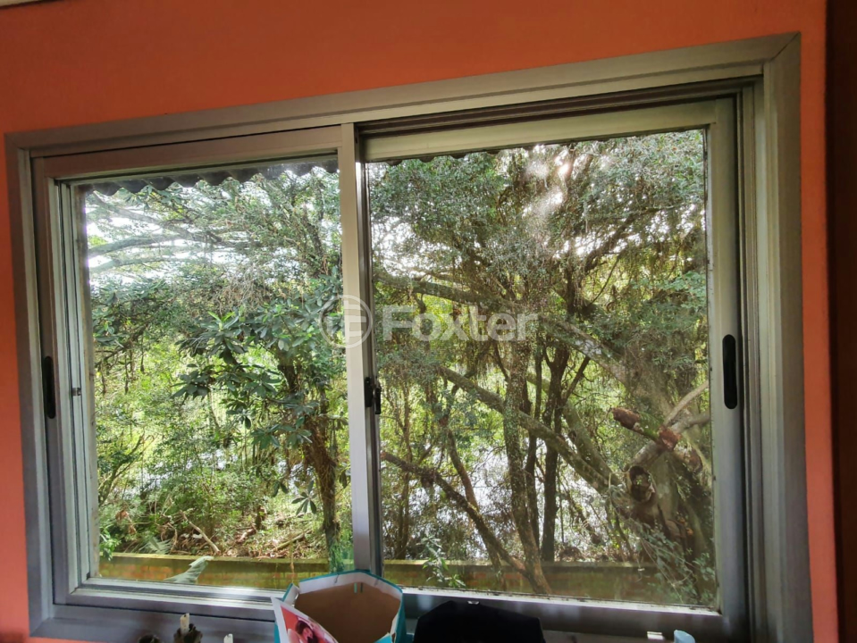 Sítio à venda com 4 quartos, 154m² - Foto 52