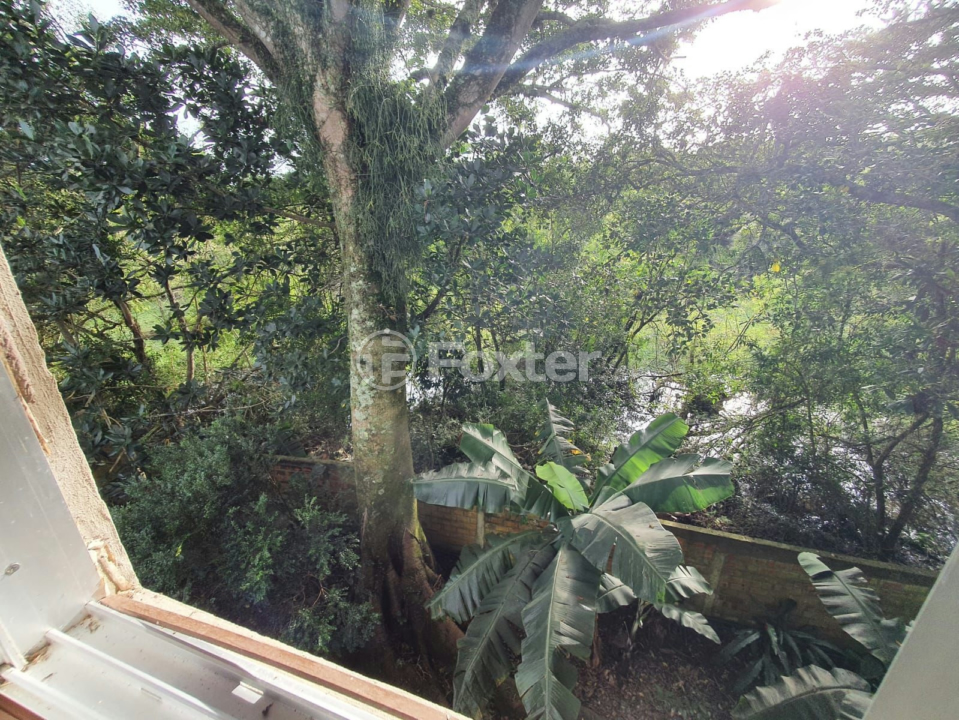 Sítio à venda com 4 quartos, 154m² - Foto 48