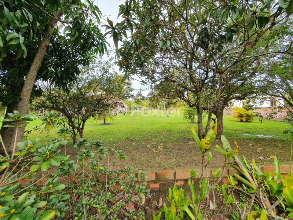 Sítio à venda com 4 quartos, 154m² - Foto 13