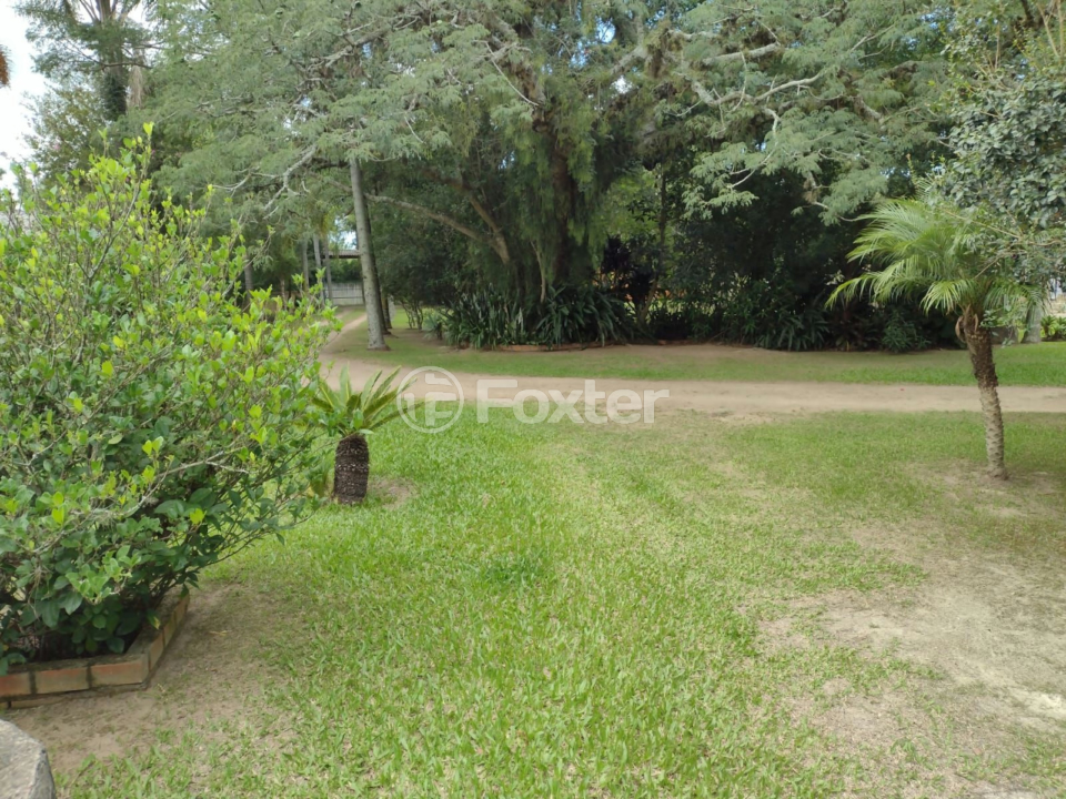 Sítio à venda com 4 quartos, 154m² - Foto 63