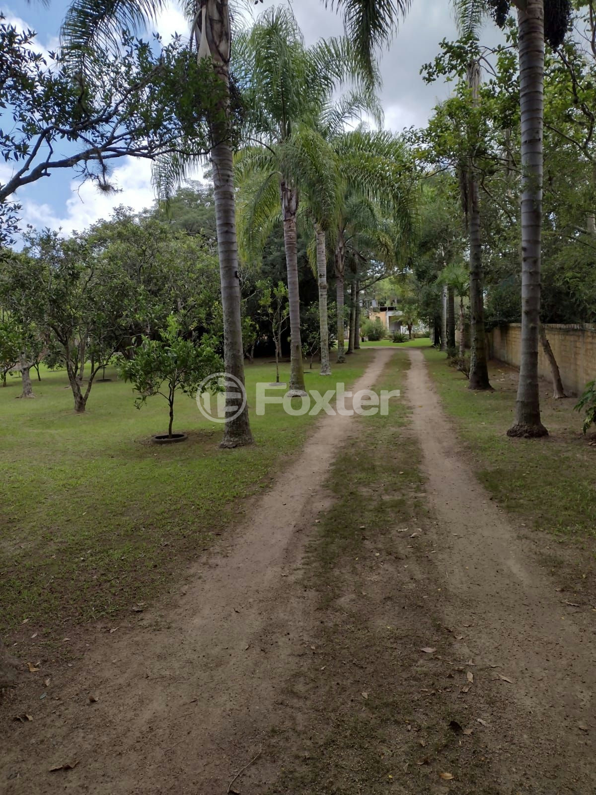 Sítio à venda com 4 quartos, 154m² - Foto 66