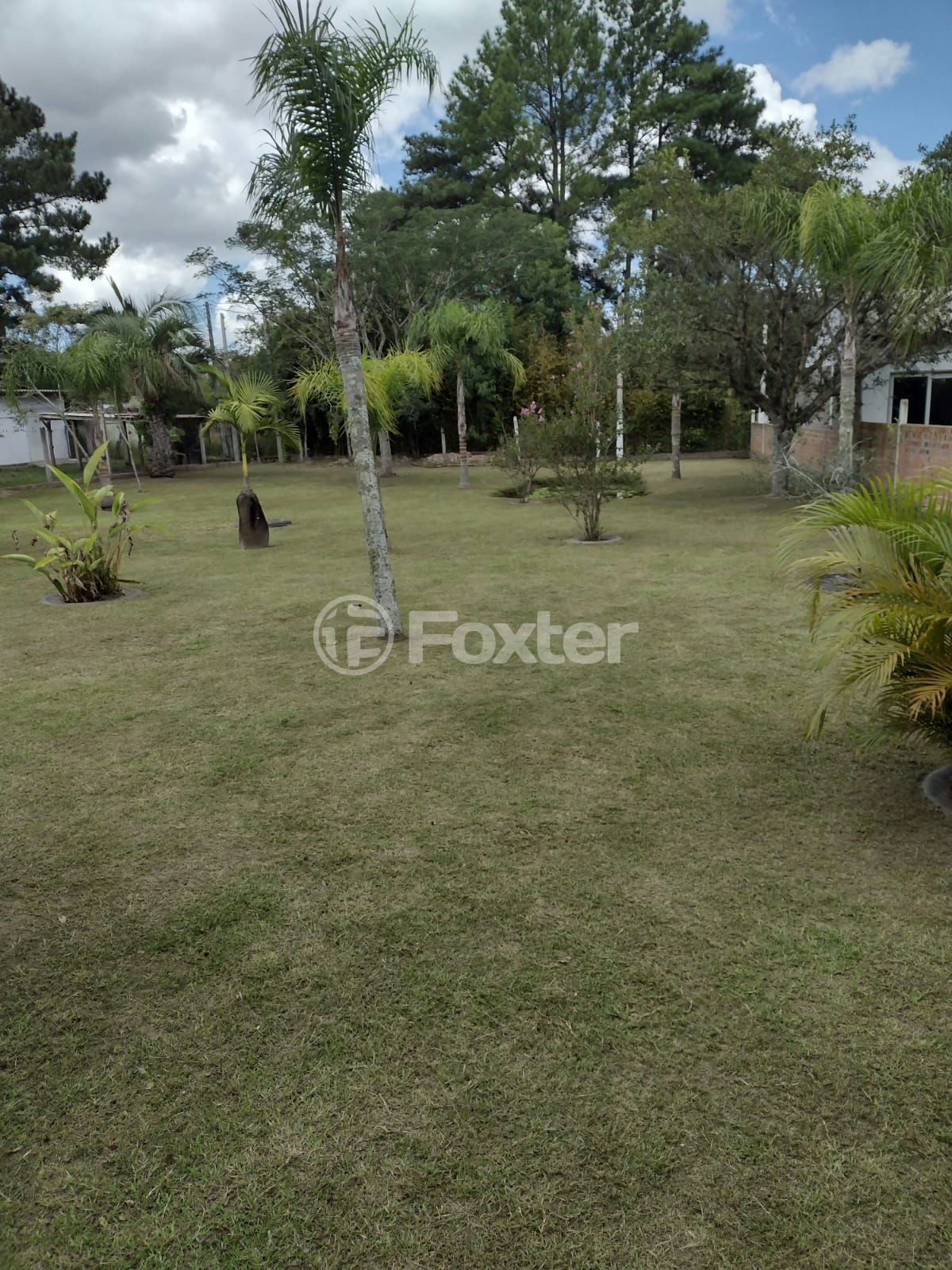 Sítio à venda com 4 quartos, 154m² - Foto 64