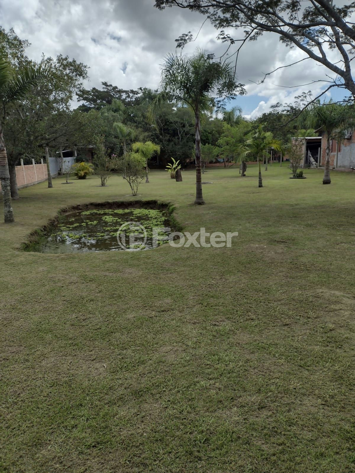 Sítio à venda com 4 quartos, 154m² - Foto 61