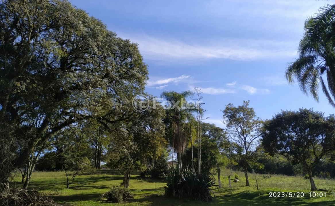 Sítio à venda com 3 quartos, 200m² - Foto 15
