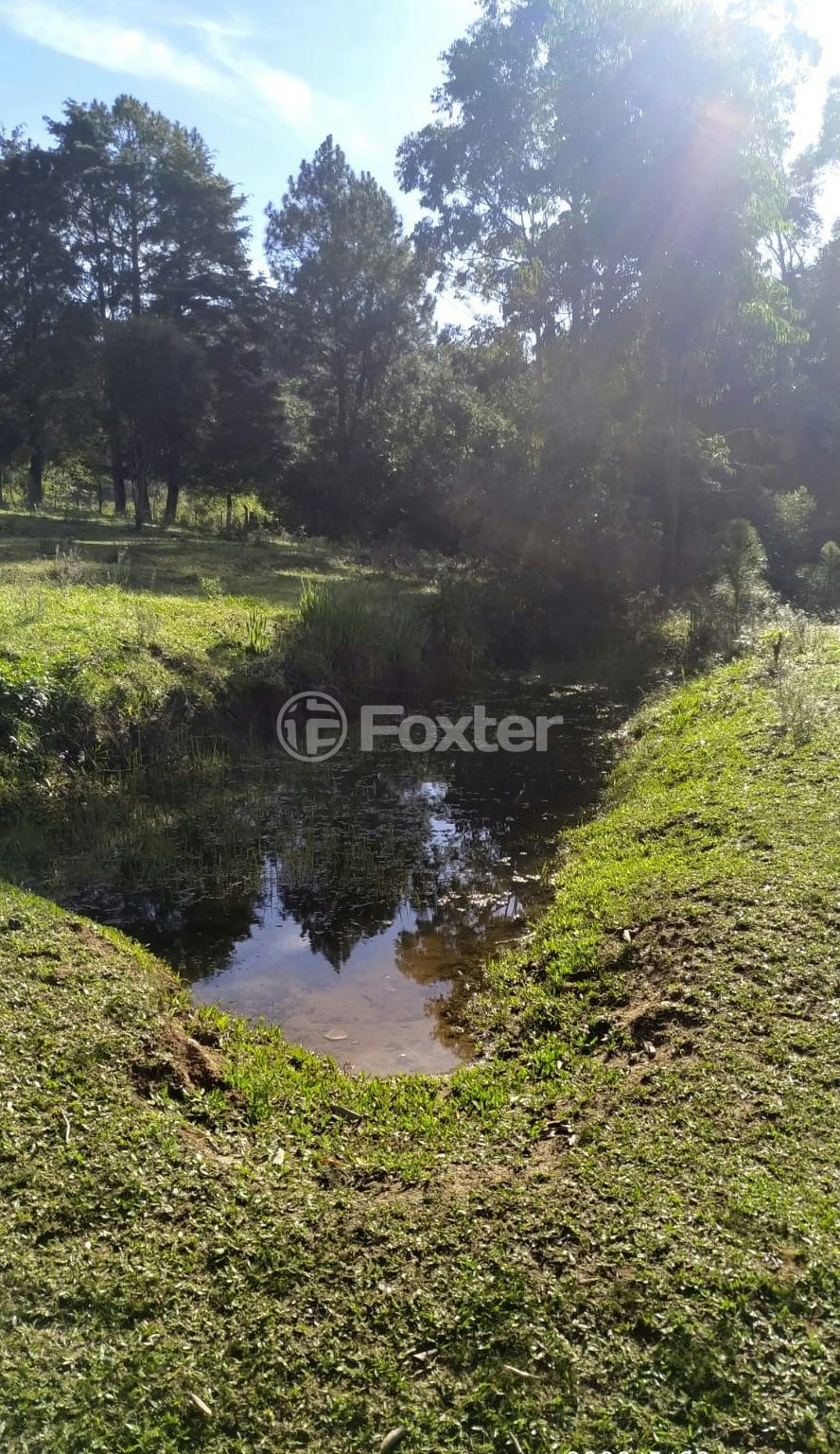 Sítio à venda com 3 quartos, 200m² - Foto 12