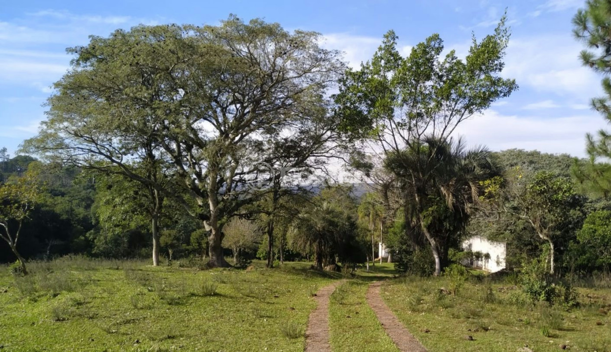 Sítio à venda com 3 quartos, 200m² - Foto 10
