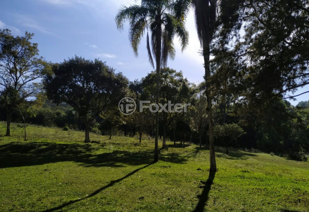 Sítio à venda com 3 quartos, 200m² - Foto 13
