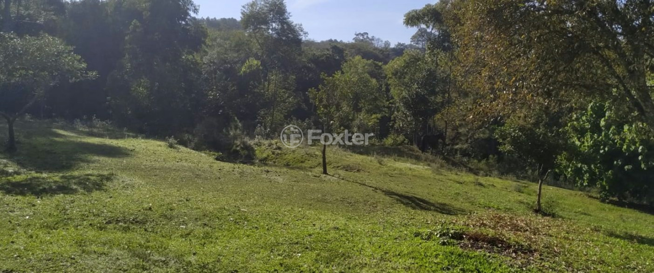 Sítio à venda com 3 quartos, 200m² - Foto 8