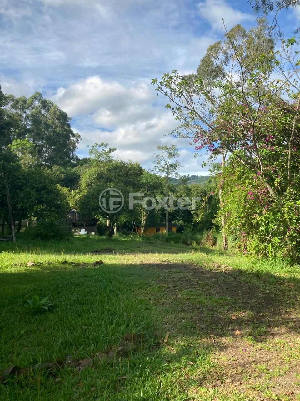 Fazenda à venda com 5 quartos, 73142m² - Foto 4