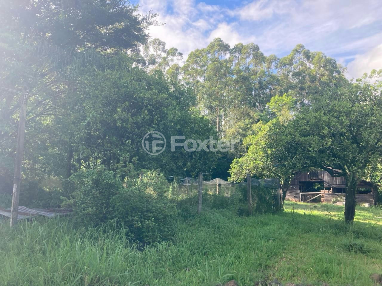 Fazenda à venda com 5 quartos, 73142m² - Foto 3