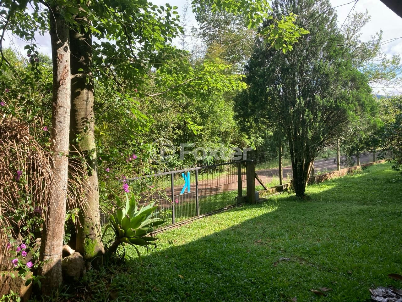 Fazenda à venda com 5 quartos, 73142m² - Foto 10