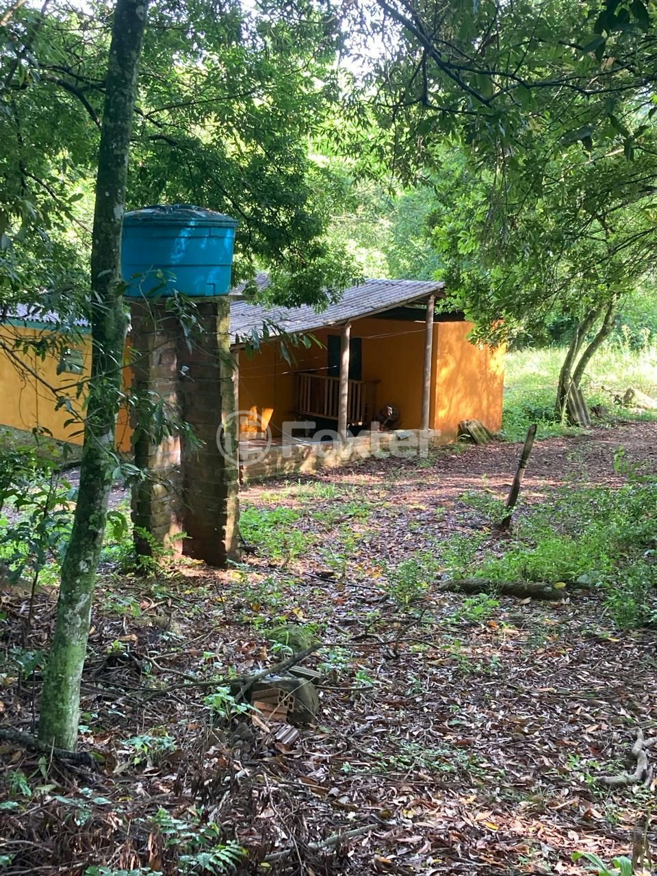 Fazenda à venda com 5 quartos, 73142m² - Foto 13
