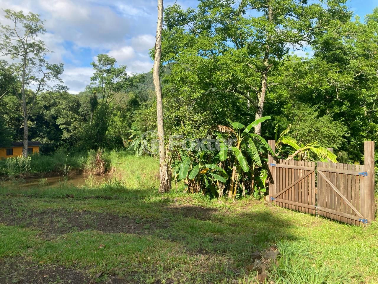 Fazenda à venda com 5 quartos, 73142m² - Foto 11