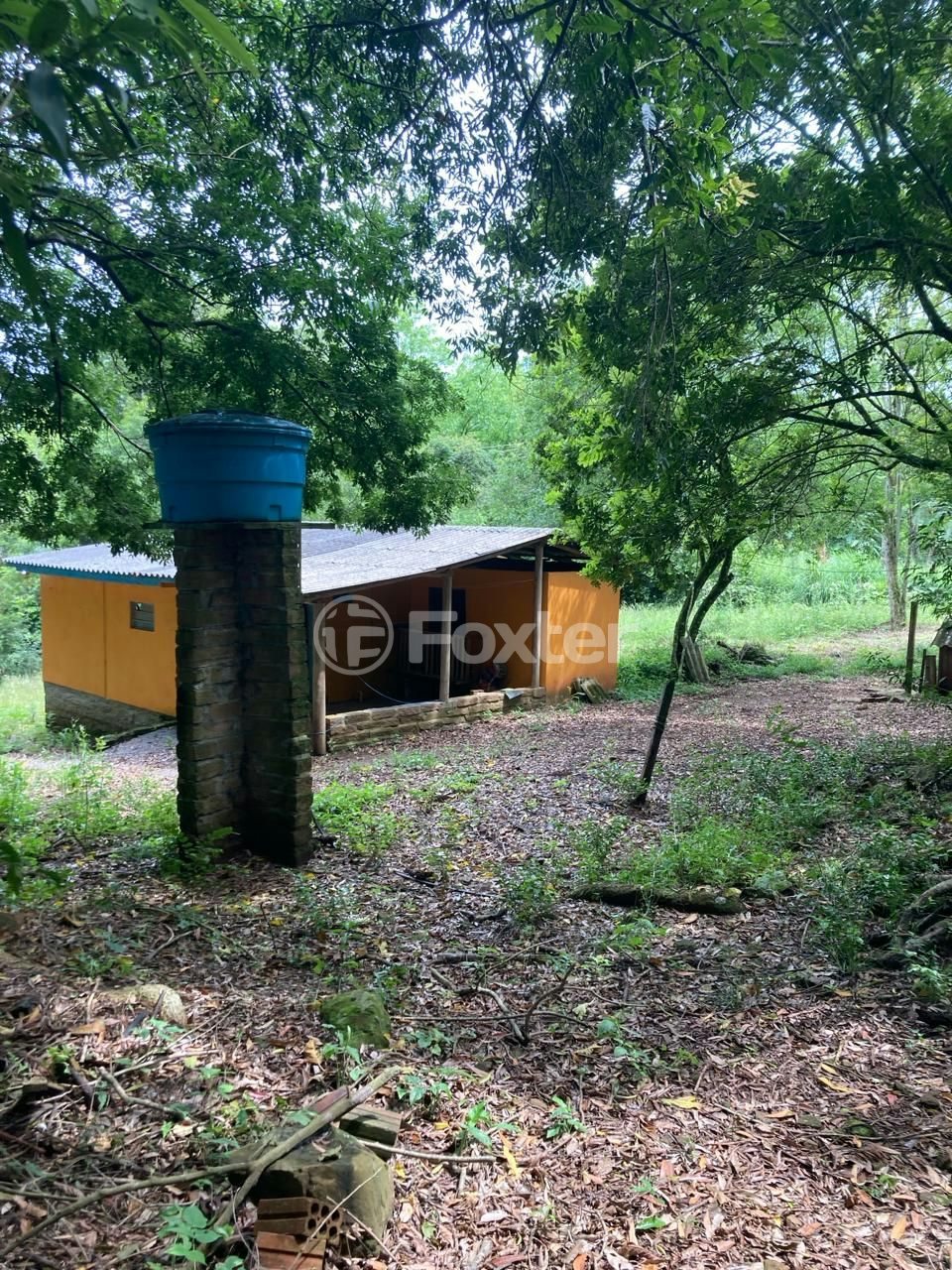 Fazenda à venda com 5 quartos, 73142m² - Foto 9