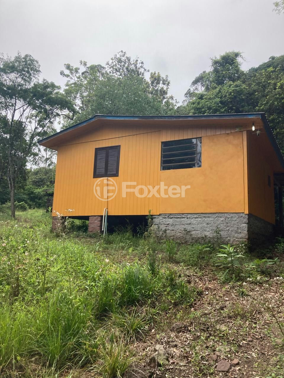 Fazenda à venda com 5 quartos, 73142m² - Foto 6