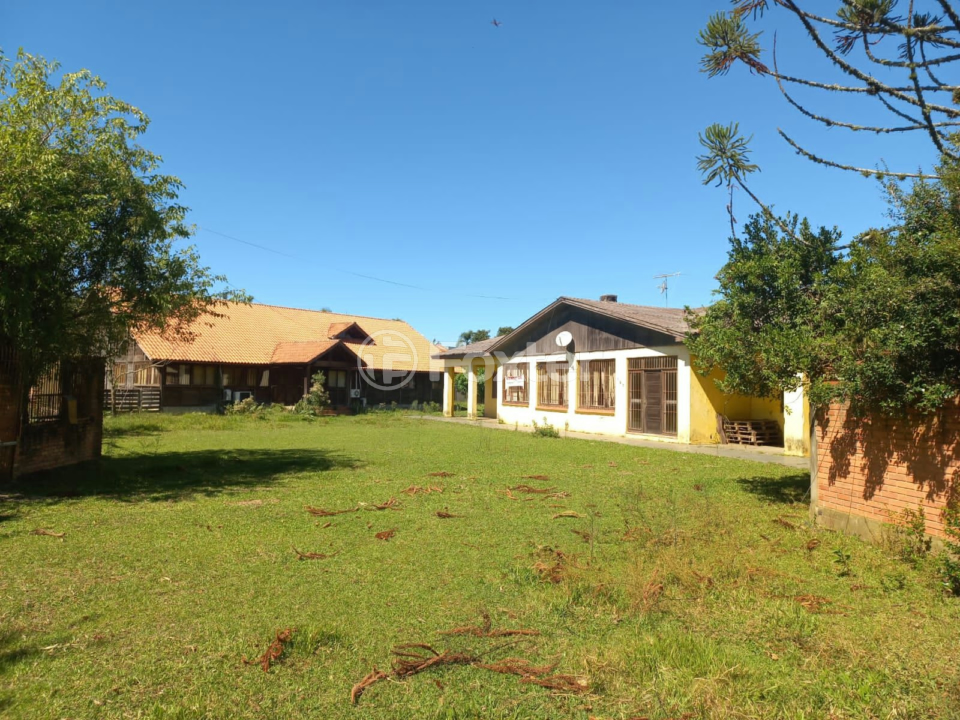 Sítio à venda com 3 quartos, 500m² - Foto 6