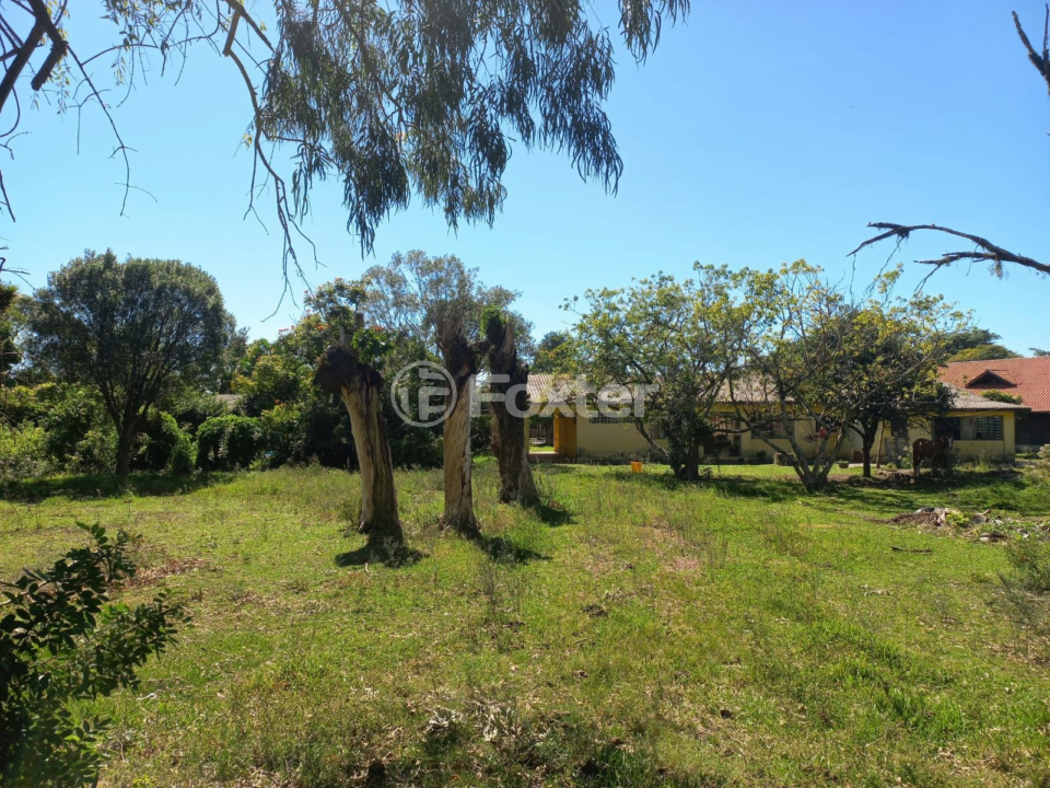 Sítio à venda com 3 quartos, 500m² - Foto 14