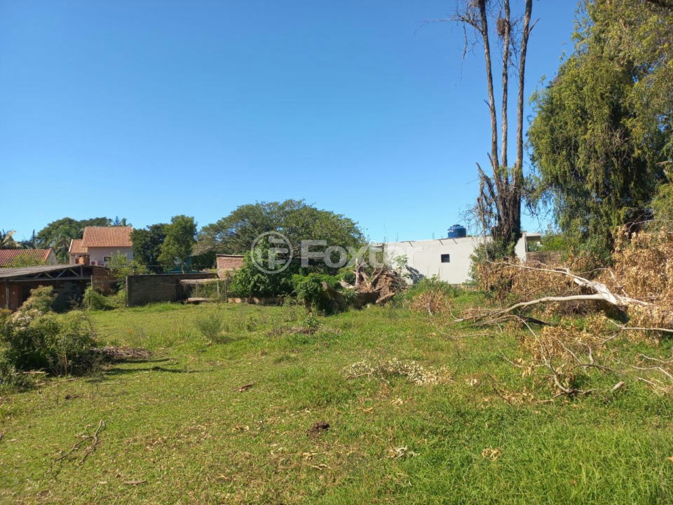Sítio à venda com 3 quartos, 500m² - Foto 13