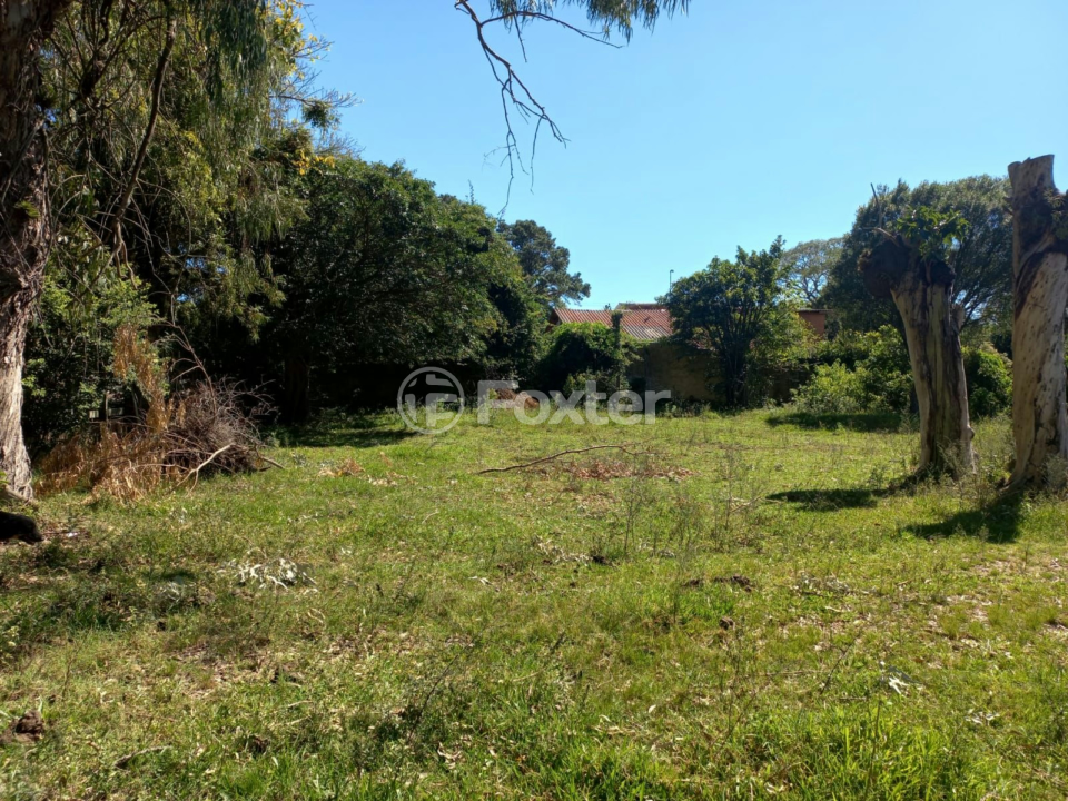 Sítio à venda com 3 quartos, 500m² - Foto 12