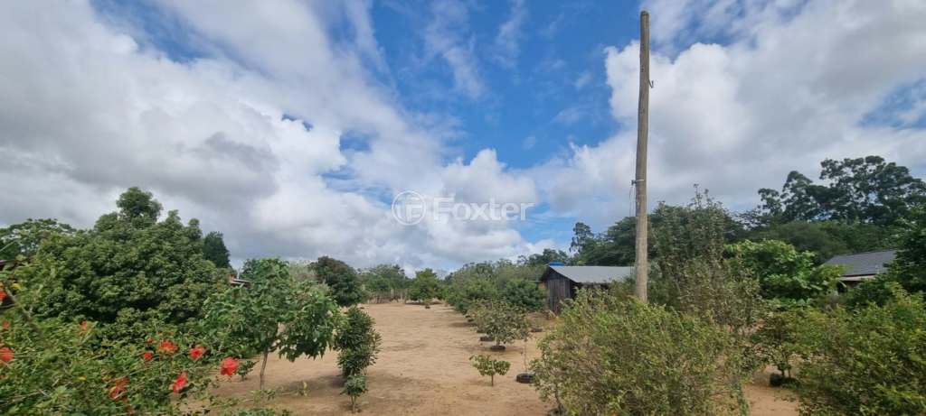 Sítio à venda com 3 quartos, 127m² - Foto 13