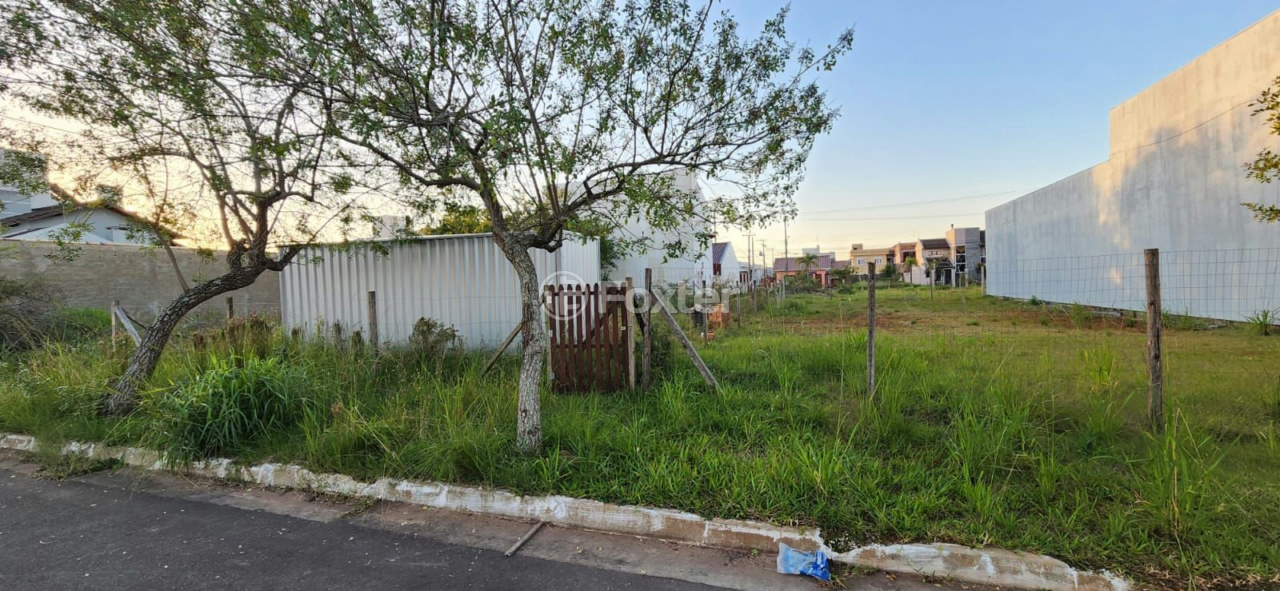 Terreno à venda, 250m² - Foto 3