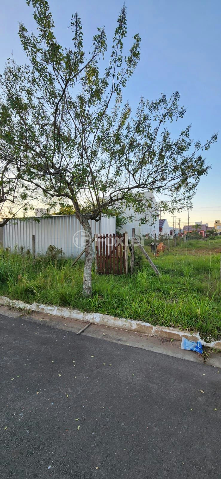 Terreno à venda, 250m² - Foto 2