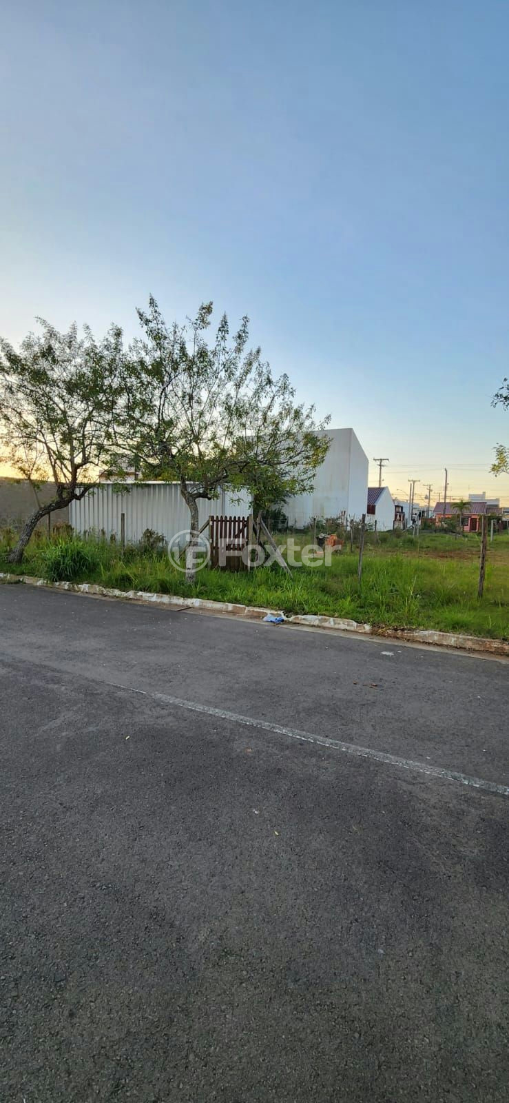 Terreno à venda, 250m² - Foto 4