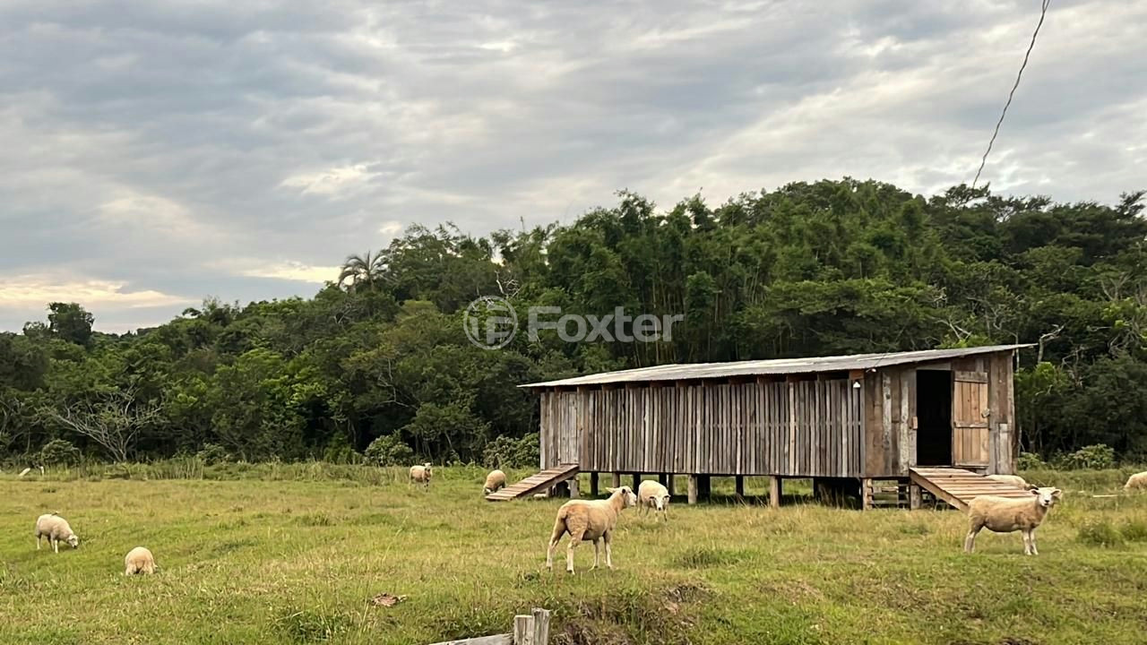 Chácara à venda com 3 quartos, 115m² - Foto 9