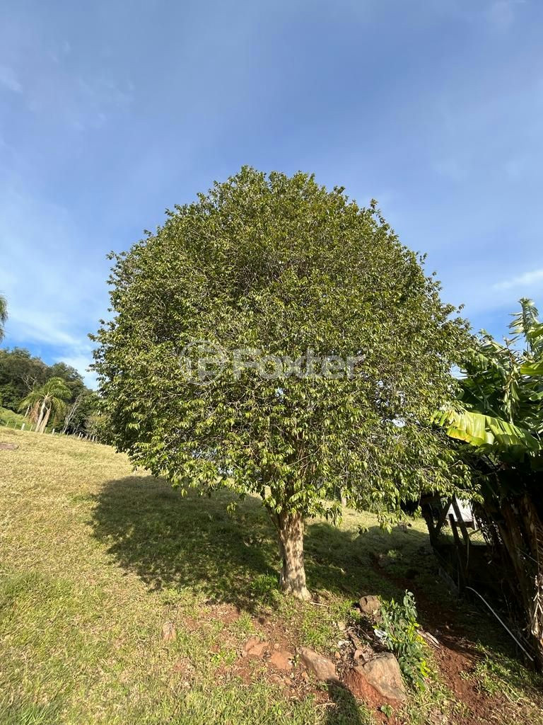 Fazenda à venda com 2 quartos, 174m² - Foto 8