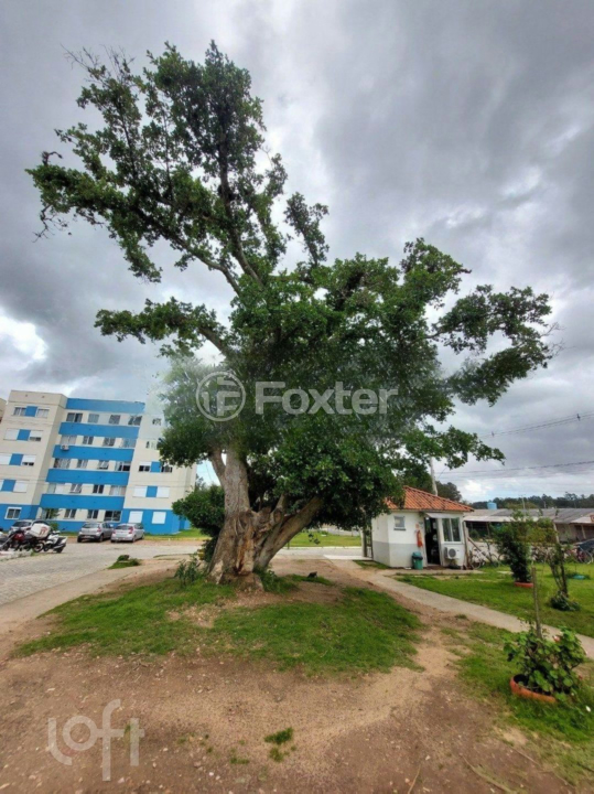 Apartamento à venda com 2 quartos, 51m² - Foto 12