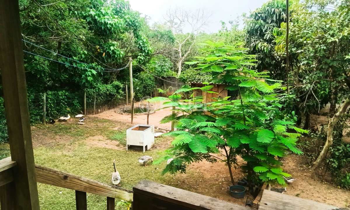 Sítio à venda com 3 quartos, 240m² - Foto 6