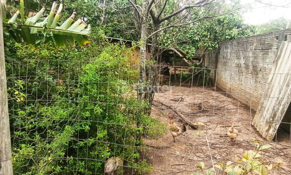 Sítio à venda com 3 quartos, 240m² - Foto 3