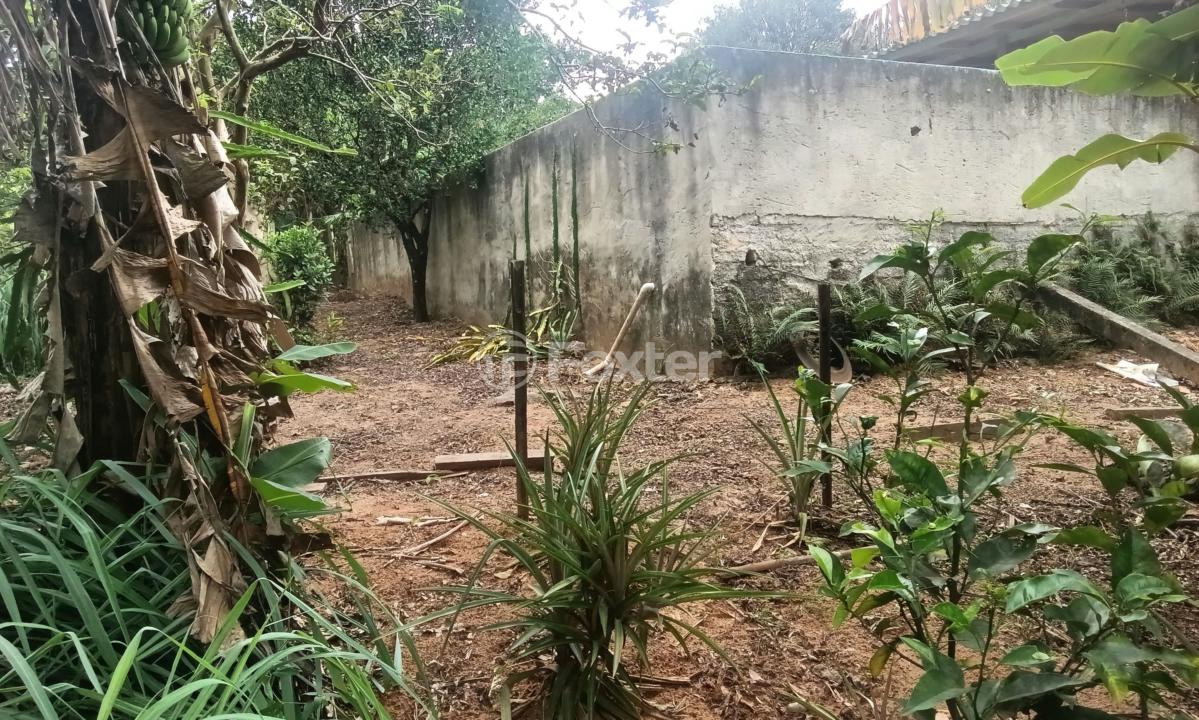 Sítio à venda com 3 quartos, 240m² - Foto 8