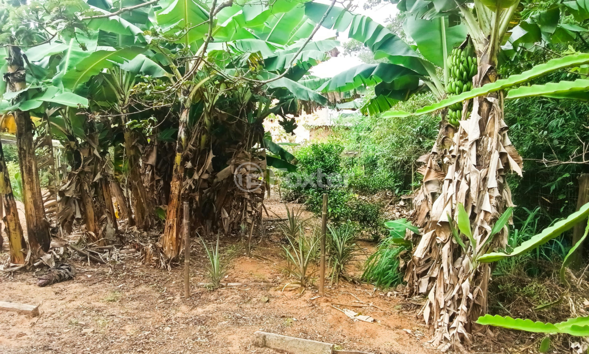 Sítio à venda com 3 quartos, 240m² - Foto 5