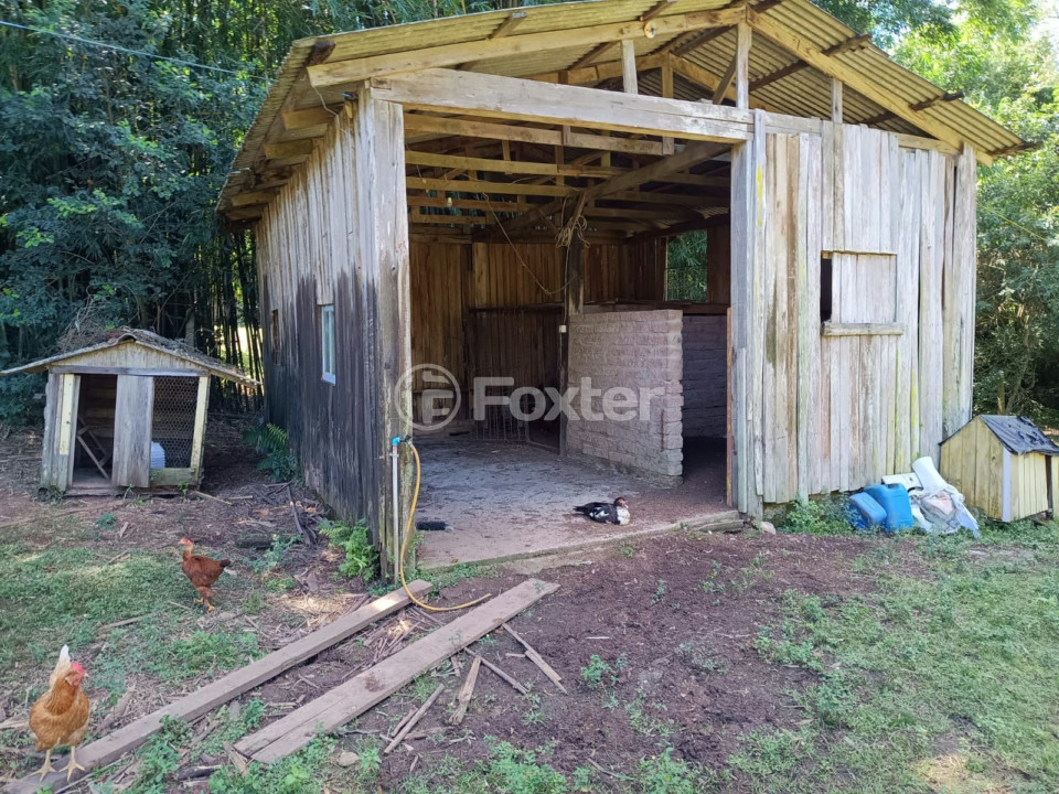 Sítio à venda com 4 quartos, 3560m² - Foto 35