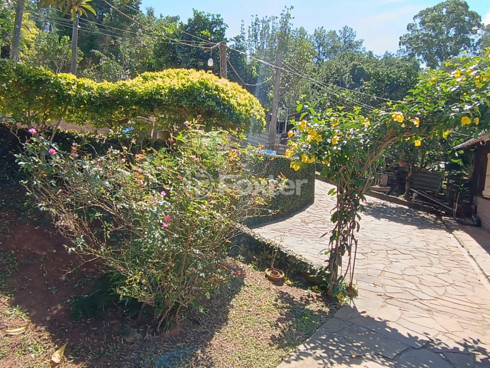 Sítio à venda com 4 quartos, 3560m² - Foto 29