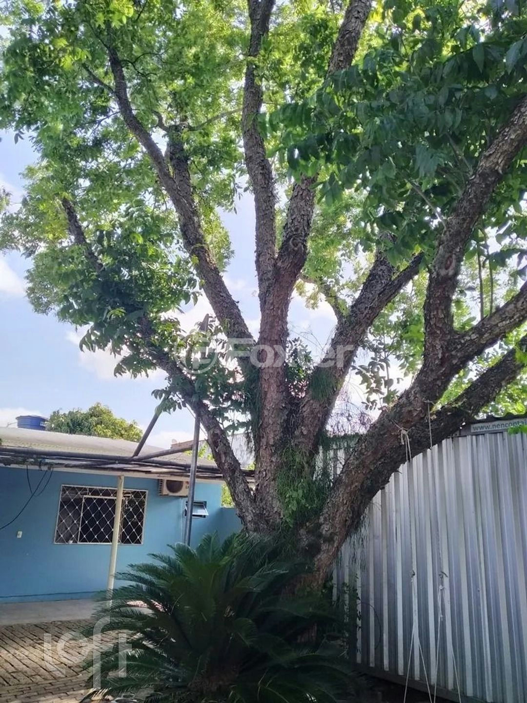 Casa à venda com 3 quartos, 182m² - Foto 16