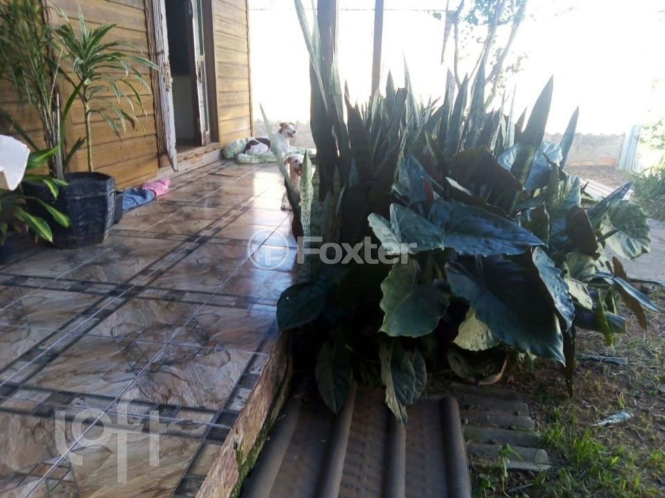 Casa à venda com 2 quartos, 62m² - Foto 21