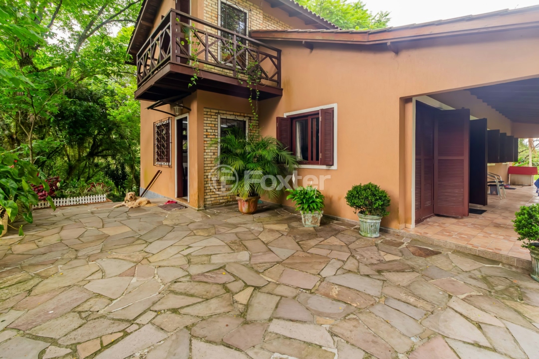 Sítio à venda com 3 quartos, 6118m² - Foto 11
