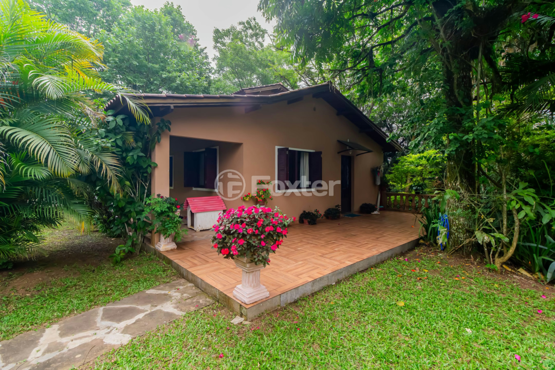 Sítio à venda com 3 quartos, 6118m² - Foto 47