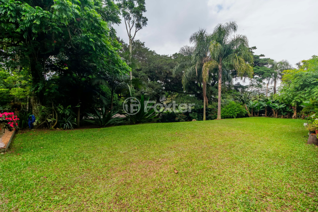 Sítio à venda com 3 quartos, 6118m² - Foto 52