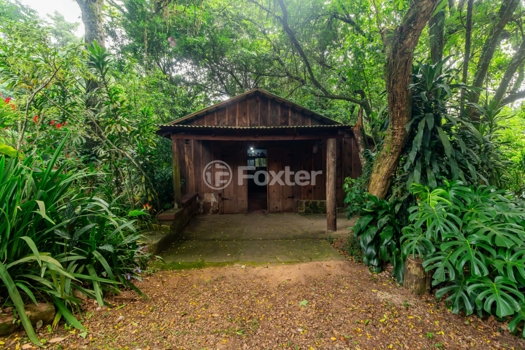 Sítio à venda com 3 quartos, 6118m² - Foto 53