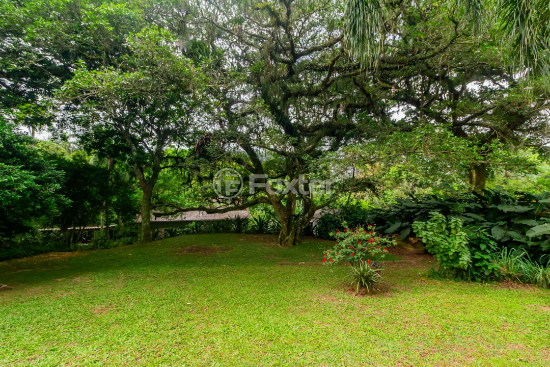 Sítio à venda com 3 quartos, 6118m² - Foto 58